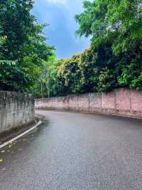 🌿探秘珠海長南逕古道遺址