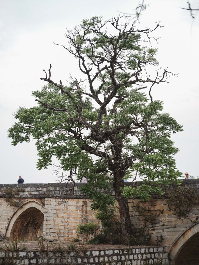 四月建水十七孔橋景區旅遊攻略