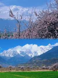 在西藏林芝，我找到了「三生三世」的桃花源！