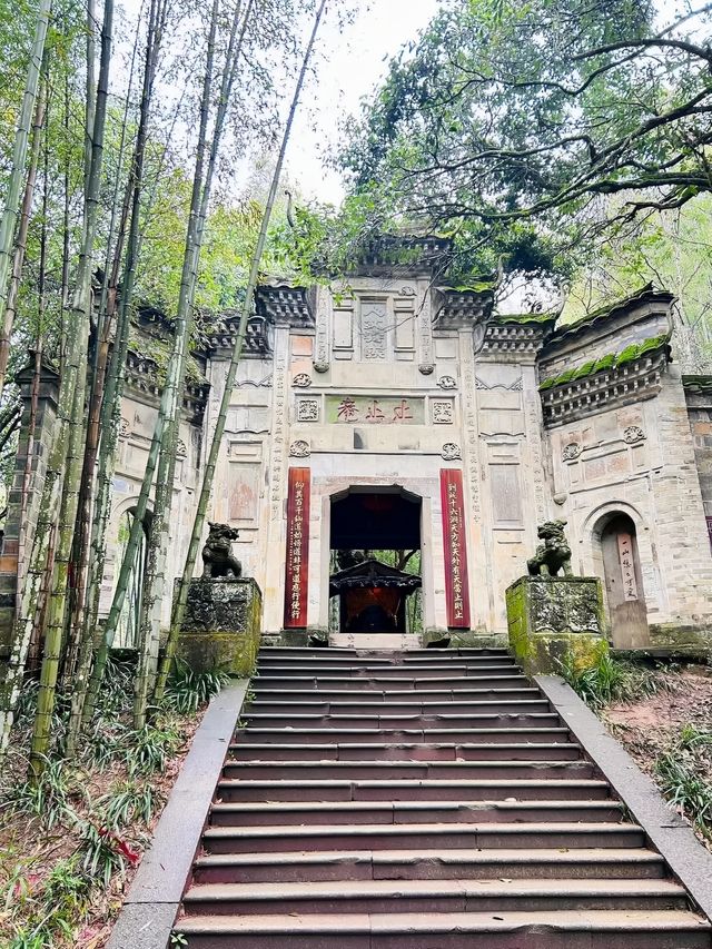 武夷山3天2夜｜吃喝玩樂超全旅遊攻略！！