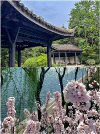 6個寶藏打卡地 五一輕鬆玩轉鄭州