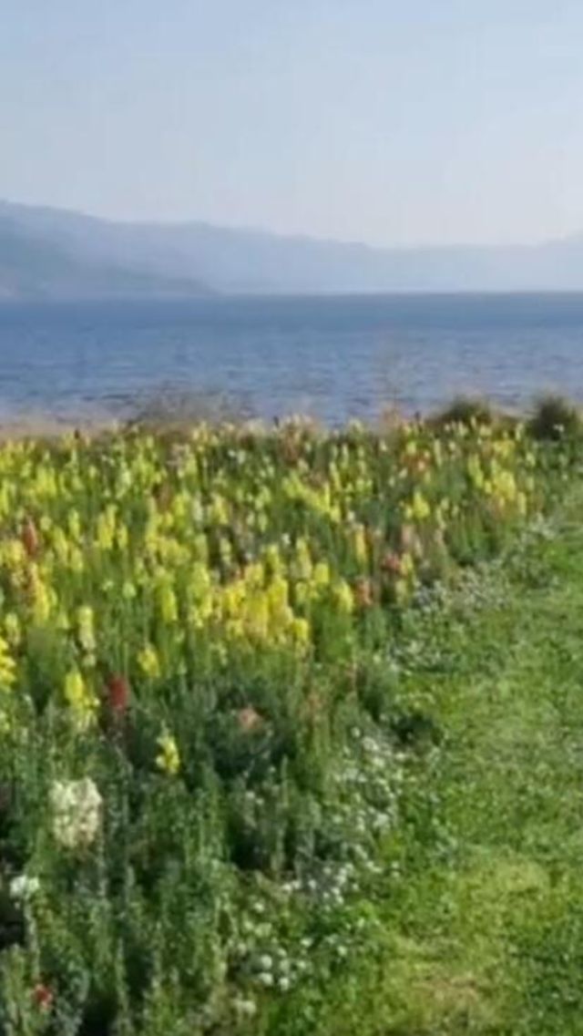 陽宗海：邂逅滇中明珠的浪漫與詩意！