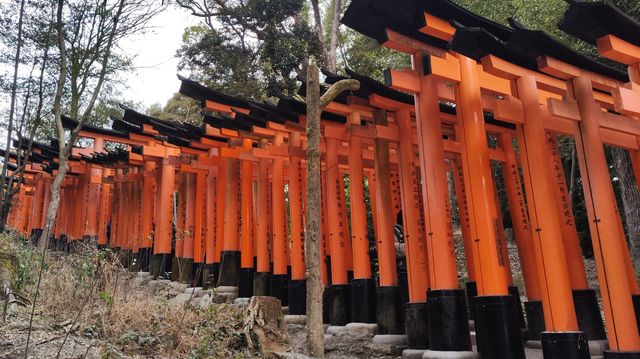 伏見稻荷大社：朱色神域與山野禪境