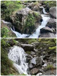 硒泉雲瀑暴走！明月山追光手賬