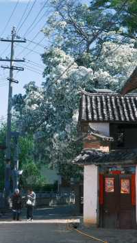 劍川特色
