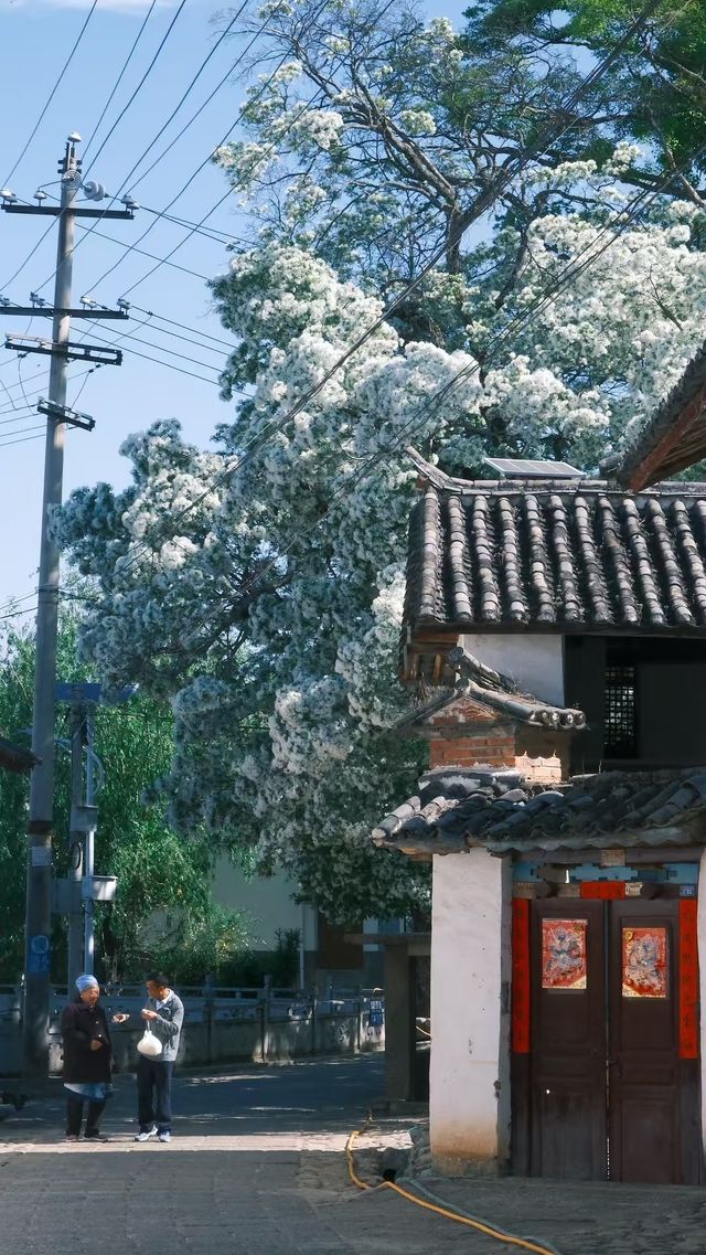 劍川特色