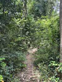 Kui Bari National Park