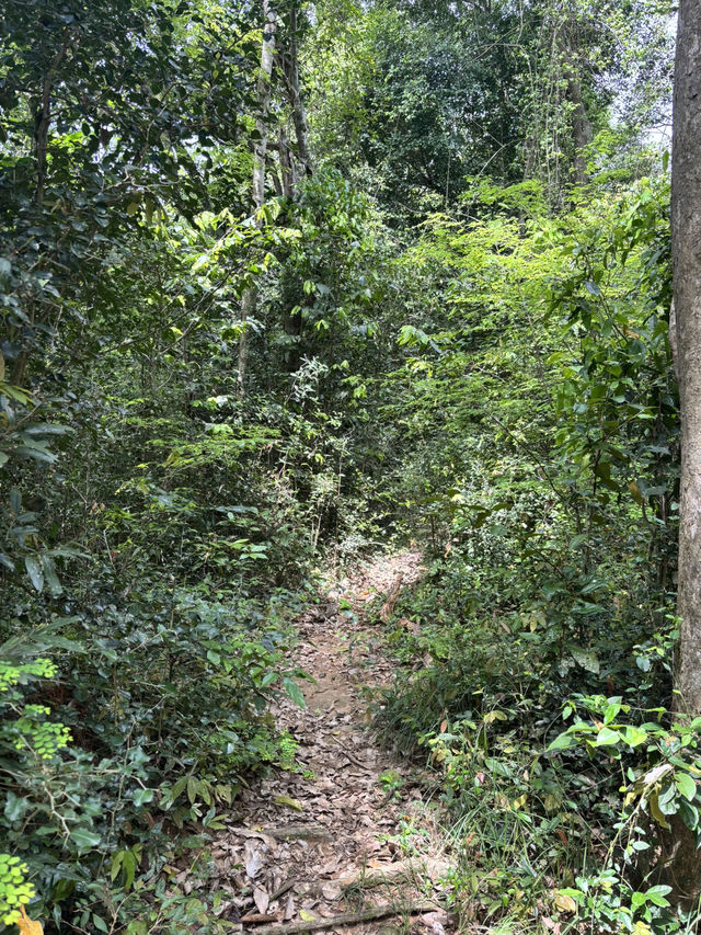 Kui Bari National Park