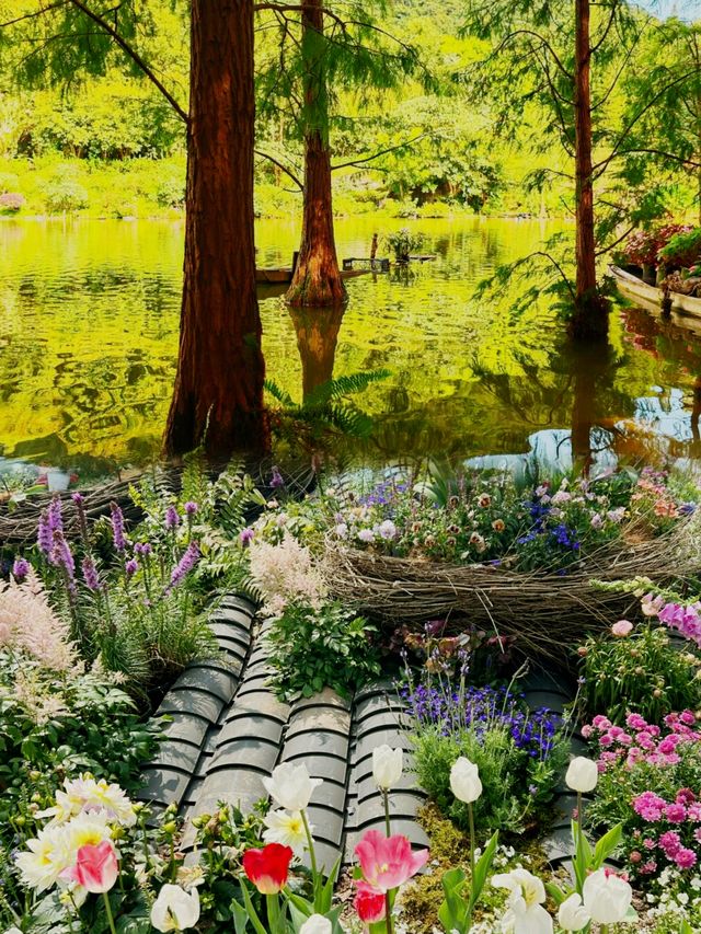 深圳仙湖植物園 美到窒息！