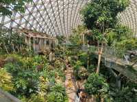How to spend four amazing Days in Shanghai! 