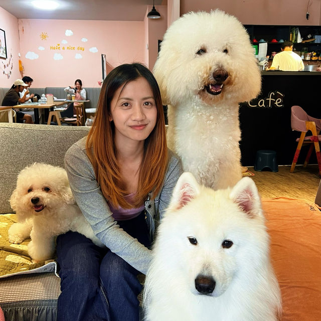 🐾 ☕️ Paws & Lattes at VE Café, Shinan 