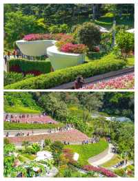 廣州新晉頂流！被問爆嘅「雲蘿植物園」保姆級攻略