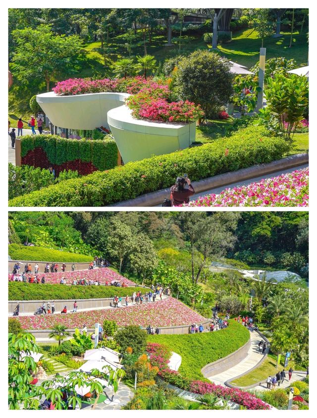 廣州新晉頂流！被問爆嘅「雲蘿植物園」保姆級攻略