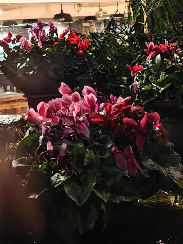 雲南滇池溫泉花園國際酒店