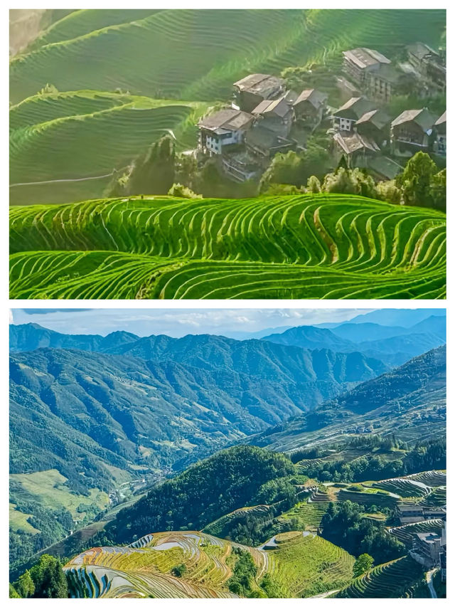 今個夏天一定要去一次桂林•龍脊梯田 今個夏天一定要去一次桂林•龍脊梯田