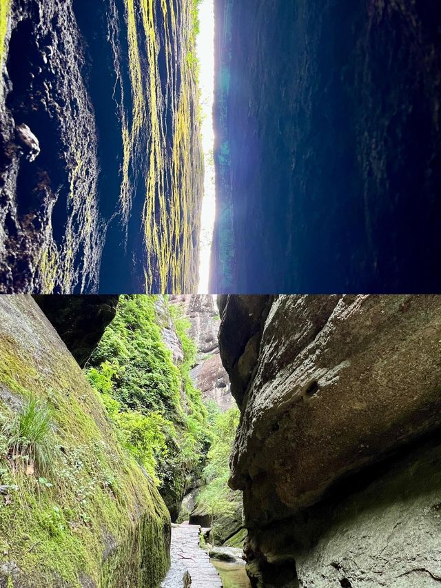 武夷山兩日遊｜保姆級攻略！