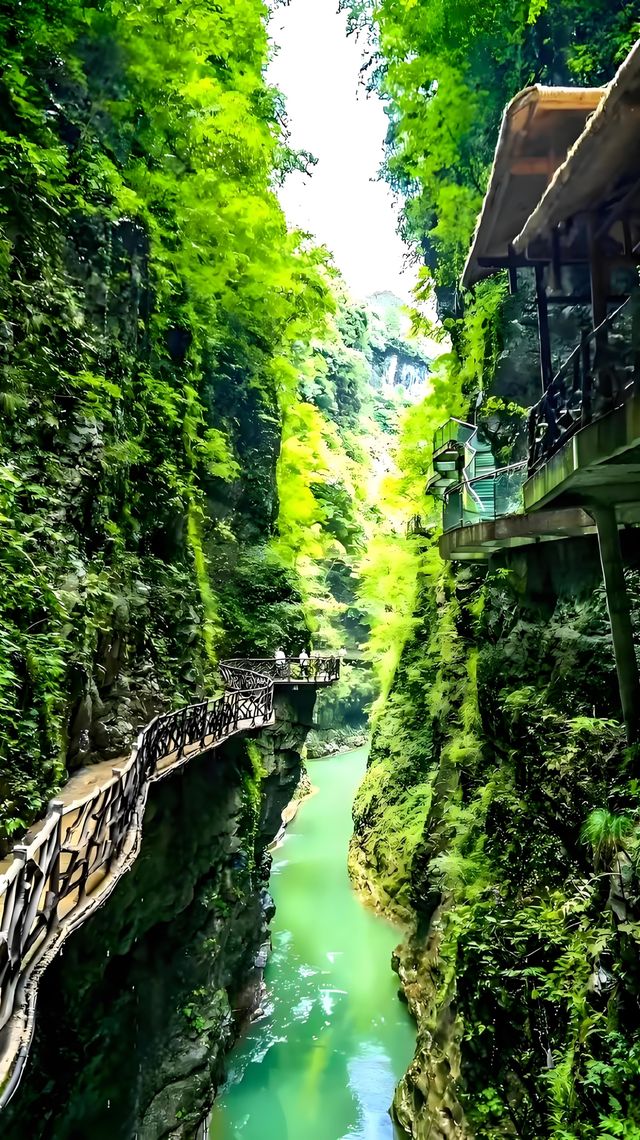 只有親身經歷才可以體驗喲