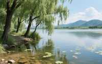 白洋淀｜喺北國水鄉嘅蘆葦深處