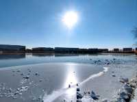East Lake (东湖) / Dongli Lake Area