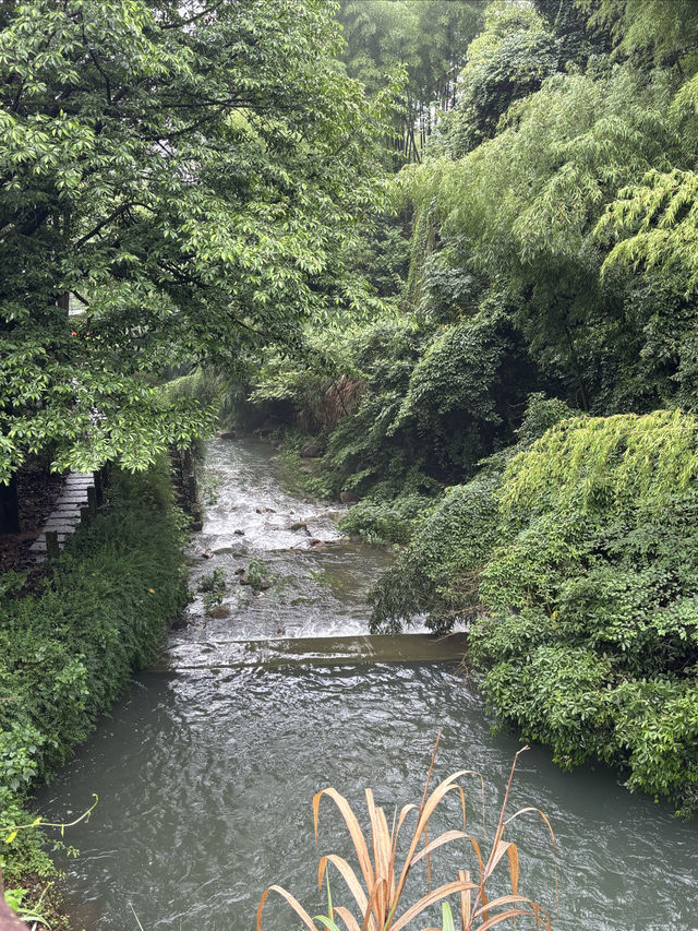 躲進山野清涼秘境，解鎖夏日神仙玩法