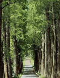 圭峰山國家森林公園