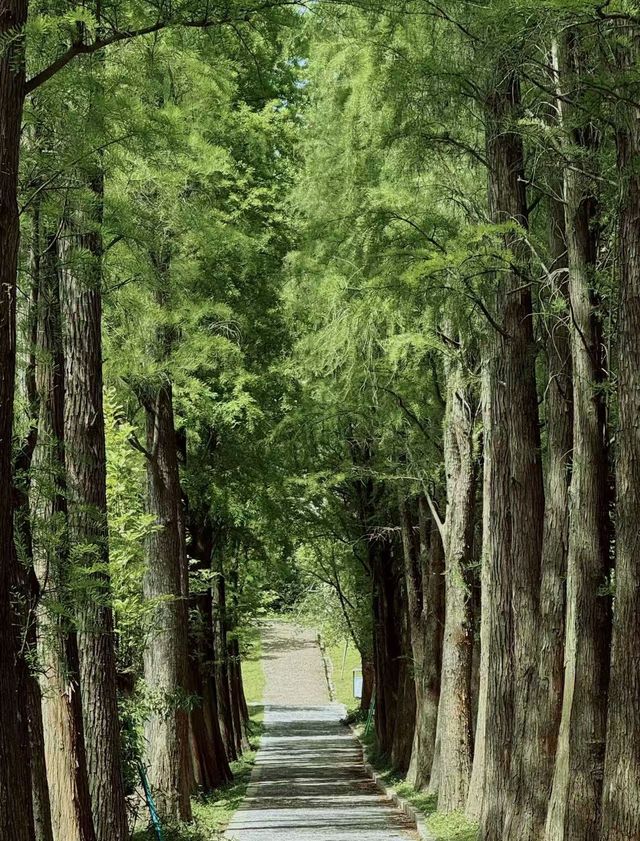 圭峰山國家森林公園