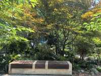 遵義花境口袋公園：小空間裡嘅生態大文章