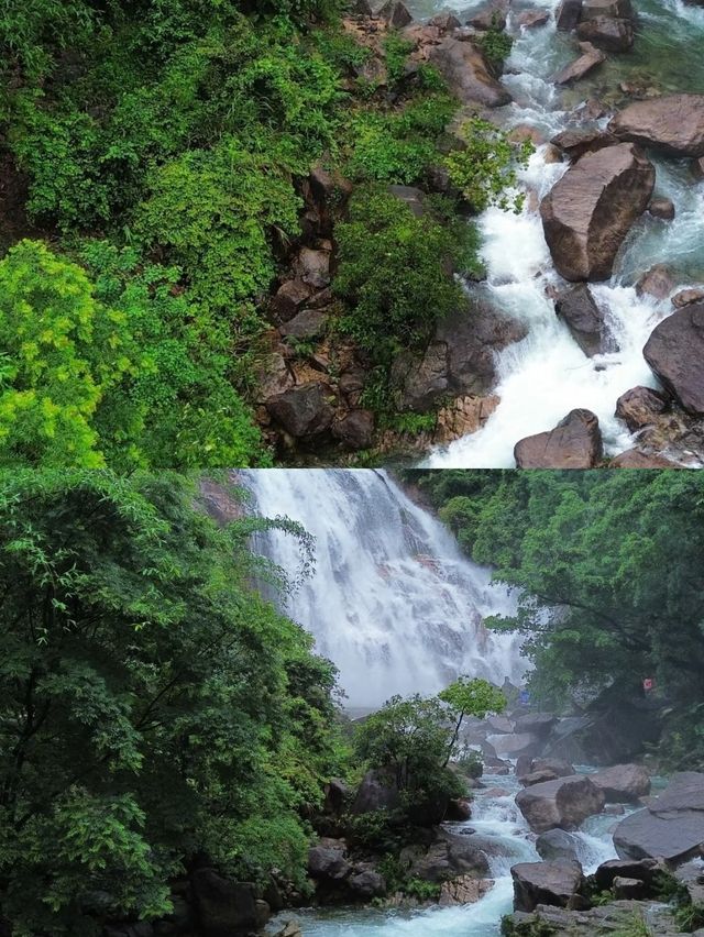 佛岡受罪已回，實話拒噴