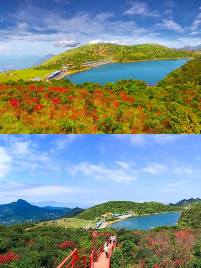潮州呢啲小眾打卡點，帶你解鎖夏日鬆弛感！