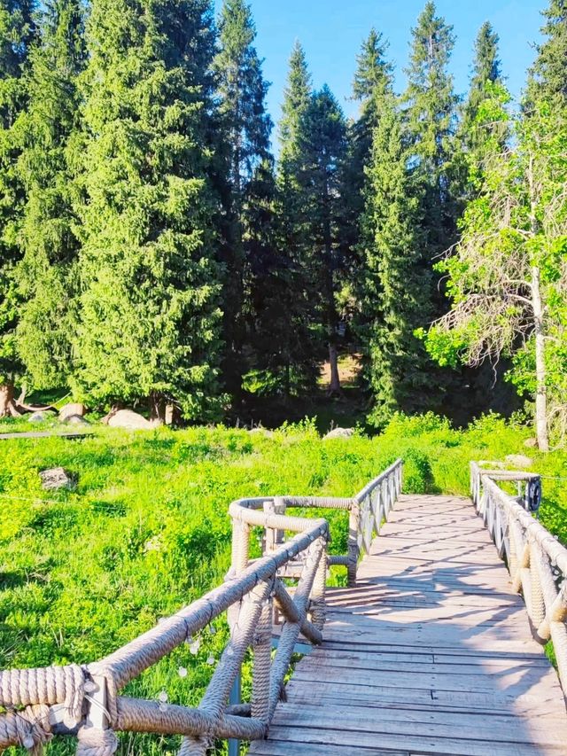 新疆庫爾德寧，治癒你整個夏天