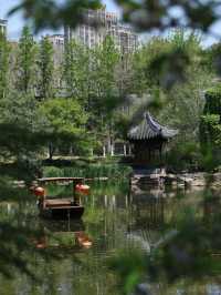 難怪呢度係江蘇嘅省會，去完一次仲想再去！