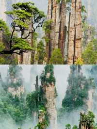 仙境張家界，奇峰三千醉天下