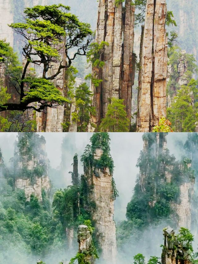 仙境張家界，奇峰三千醉天下