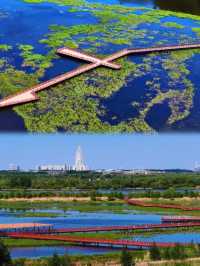 【6-8月必去！奔向22℃嘅夏天】