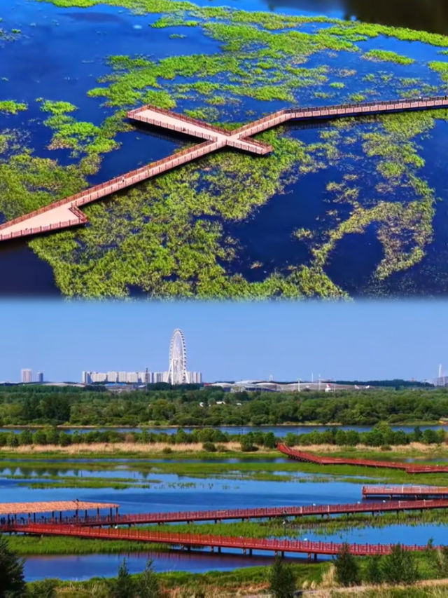 【6-8月必去！奔向22℃嘅夏天】