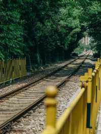 開往夏日森林秘境的列車｜武漢馬鸚路萬家巷