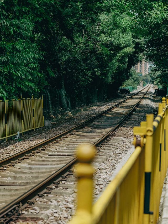 開往夏日森林秘境的列車｜武漢馬鸚路萬家巷