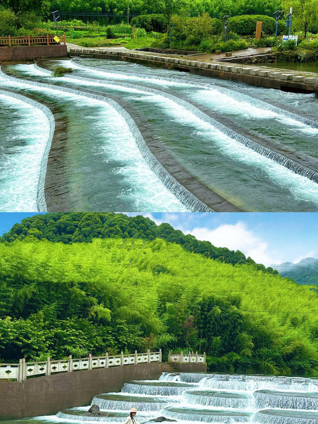連續3年去莫干山，10條親子遊不踩雷建議