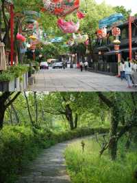 凡雲西溪｜江南島居，靜待西溪濕地的悠長夏日