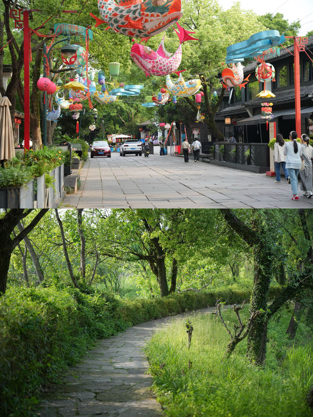 凡雲西溪｜江南島居，靜待西溪濕地的悠長夏日
