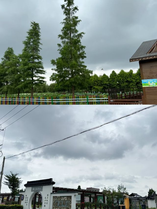 荷香民俗園 | 藏喺鄉間嘅煙火寶藏地
