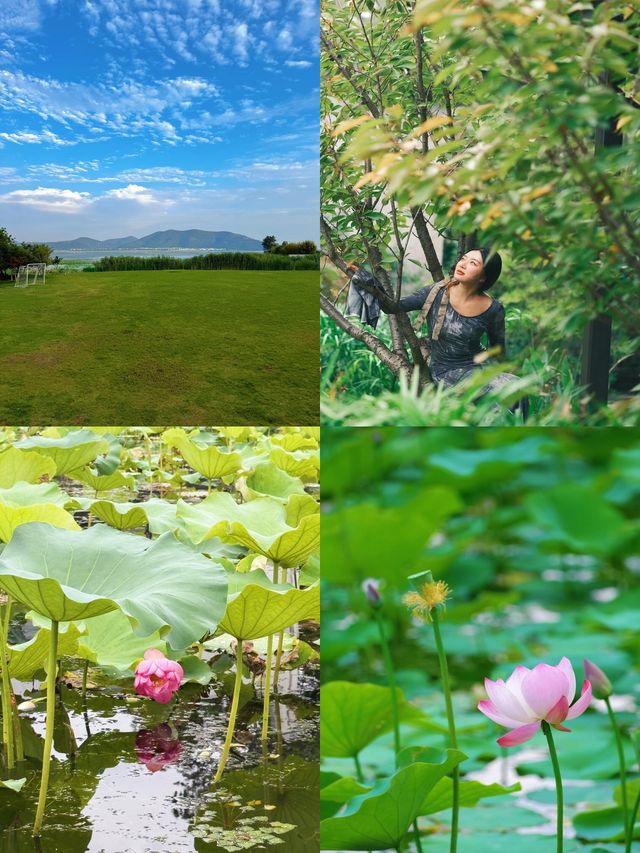 蘇州太湖度假村好涼爽！避暑勝地！