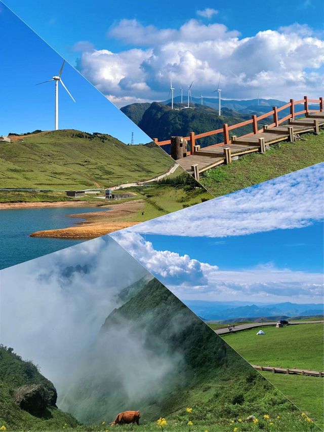 6-8月親子避暑全攻略｜食住行細節拉滿，行程一目了然