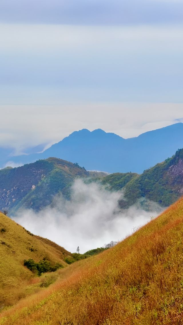 發雲界景區，難道唔會令你對武功山刮目相看？
