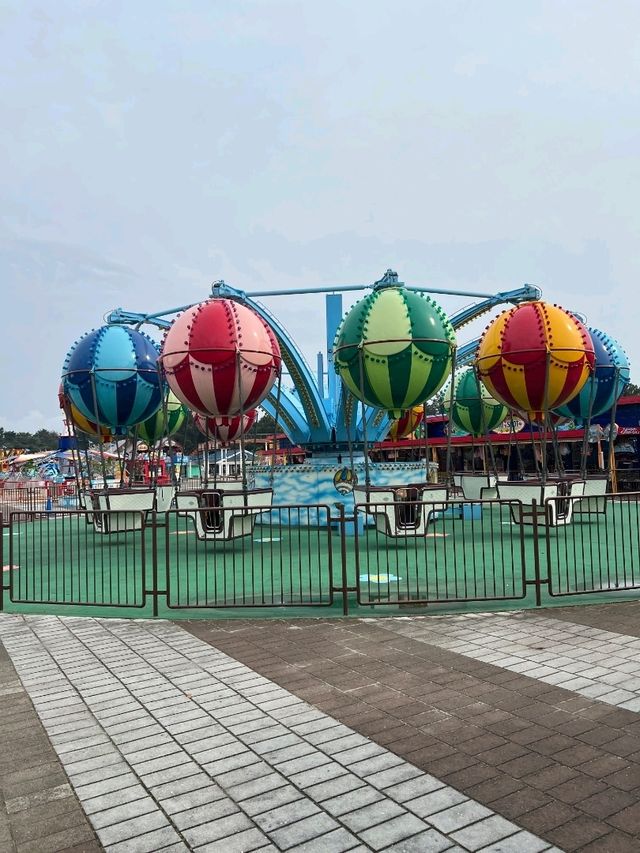 日本東京國營常陸海濱公園一日遊，賞花親子遊）🌼🎢  