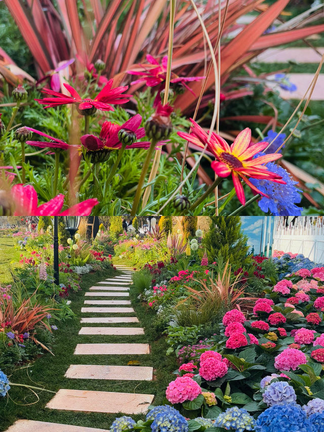 蒙自一處花海打卡勝地