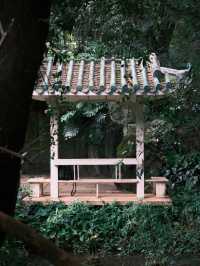富士直出-闖入廣州蘭圃-靜謐園林美學