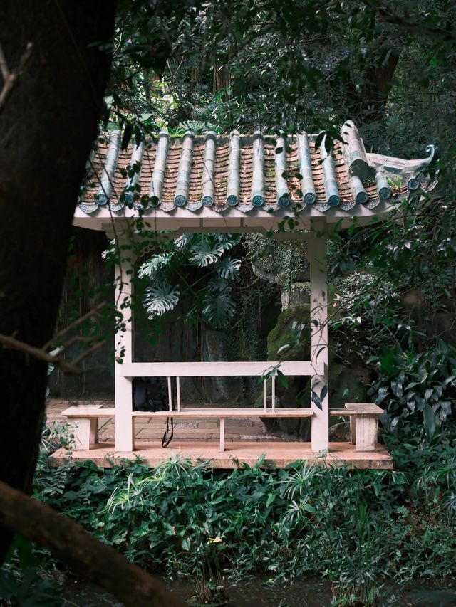 富士直出-闖入廣州蘭圃-靜謐園林美學