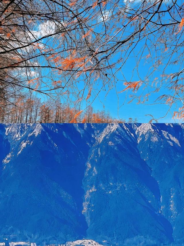 你該去洱海旁，聽聽風的聲音大理