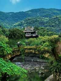 海島+古寺+竹林吸氧，玩轉台州！
